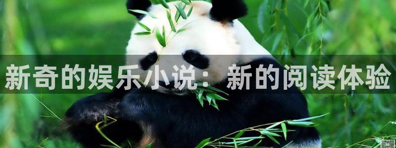 天富平台电玩网官网入口