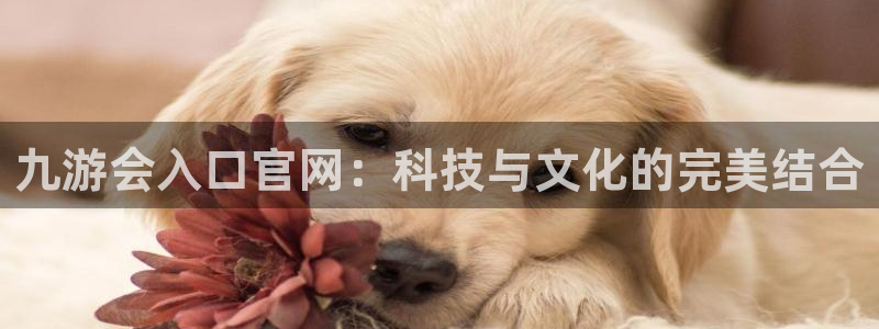 天富平台软件