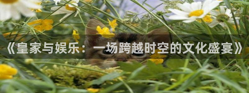 天富平台怎么下载