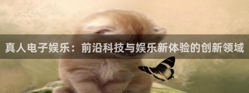 壹号平台娱乐