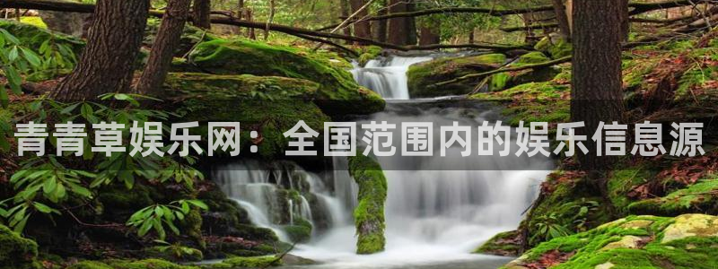 壹号下载官网入口