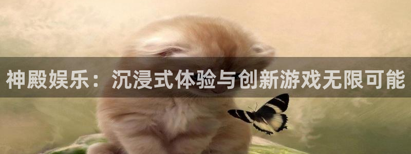 壹号平台app下载安装
