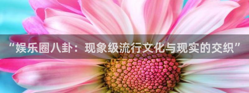 天富平台平台注册账号
