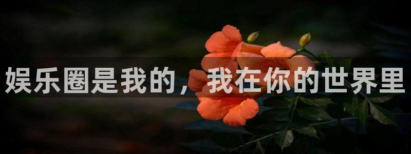 天富平台电子游戏官网
