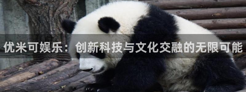 天富平台在线预测