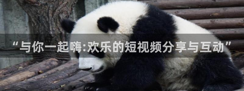 天富平台.ccm官网版