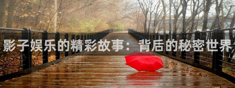 壹号下载安装