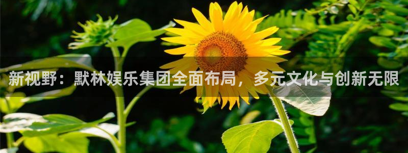 壹号大舞台下载链接