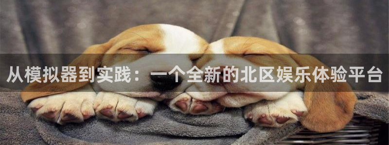 天富平台平台官网登录入口