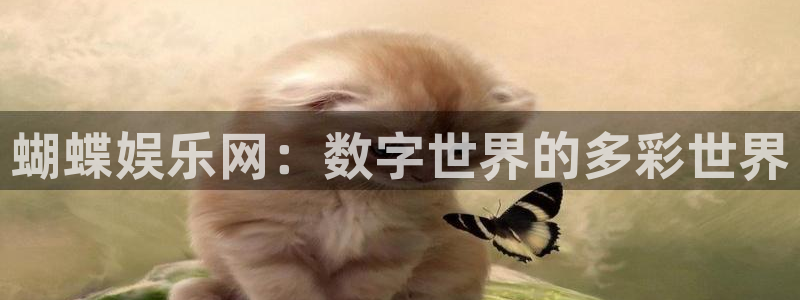 天富平台app下载安装：蝴蝶娱乐网：数字世界的多彩世界