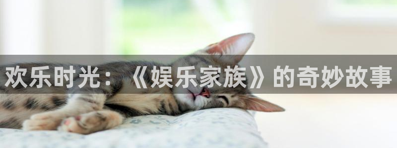 天富平台怎么下载：欢乐时光：《娱乐家族》的奇妙故事