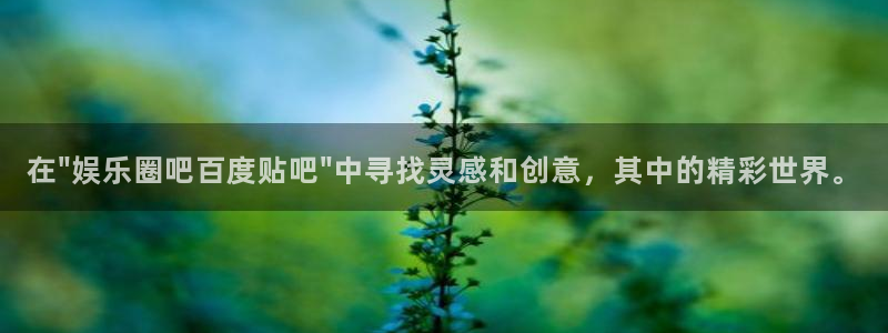 天富平台是啥：在\