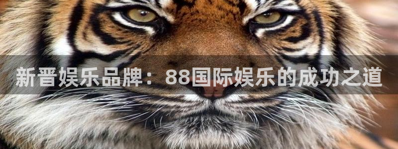 天富平台游戏：新晋娱乐品牌：88国际娱乐的成功之道