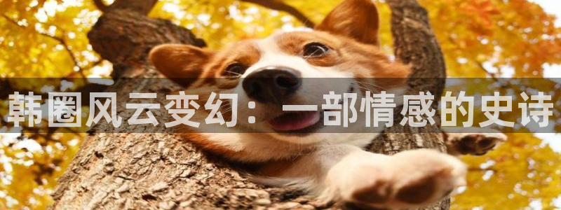 天富平台电子游戏网页版：韩圈风云变幻：一部情感的史诗