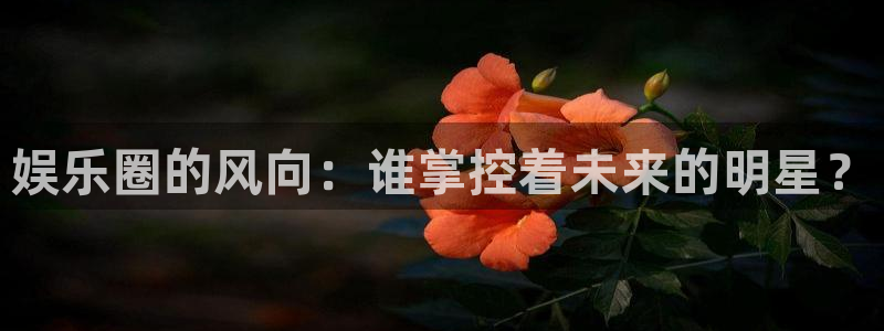 壹号电子娱乐app下载官网：娱乐圈的风向：谁掌控着未来的明星？