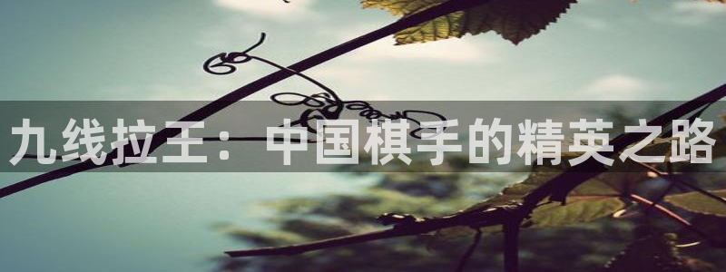 天富平台平台官网入口下载：九线拉王：中国棋手的精英之路