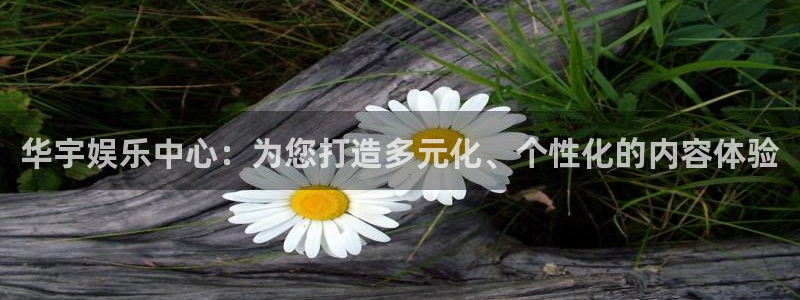 天富平台平台：华宇娱乐中心：为您打造多元化、个性化的内容体验