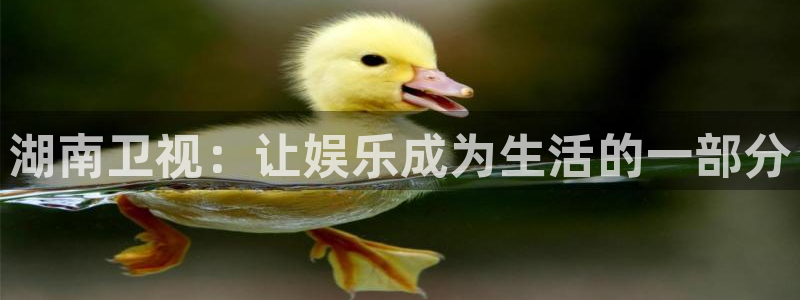天富平台下载：湖南卫视：让娱乐成为生活的一部分