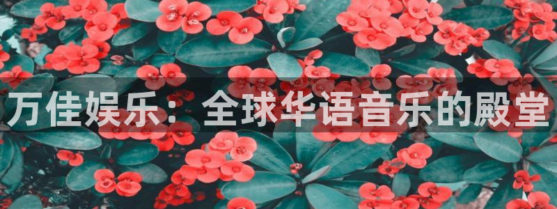 壹号大舞台下载链接：万佳娱乐：全球华语音乐的殿堂