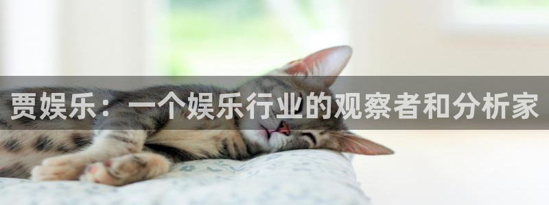 天富平台下载：贾娱乐：一个娱乐行业的观察者和分析家