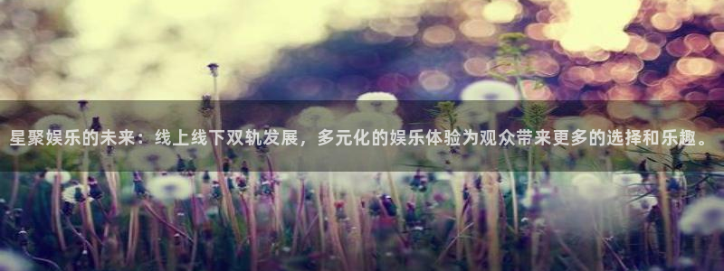 天富平台.ccmpc登录：星聚娱乐的未来：线上线下双轨发展，多元化的娱乐体验为观众带来更多的选择和乐趣。
